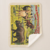 Adam Forepaugh & Sells Brothersのサーカスポスター シェルパブランケット (正面)