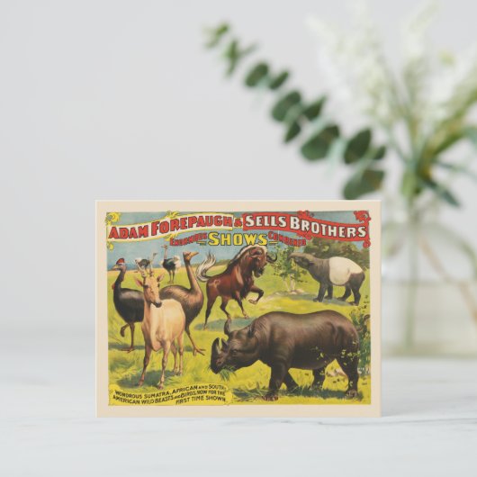 Adam Forepaugh & Sells Brothersのサーカスポスター ポストカード (スタンド正面)