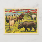 Adam Forepaugh & Sells Brothersのサーカスポスター ポストカード (正面)