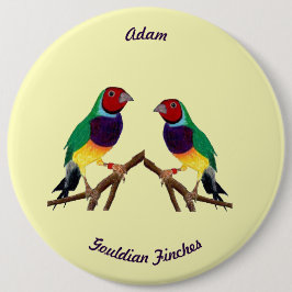 ADAM ~ Gouldian Finch ~ Personalised ~ 缶バッジ