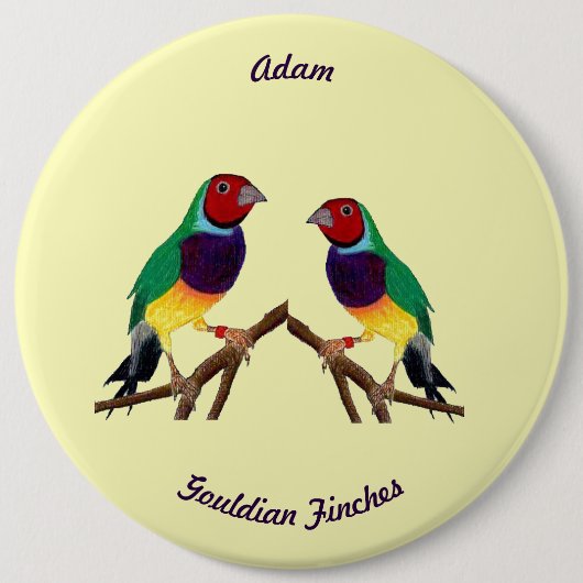 ADAM ~ Gouldian Finch ~ Personalised ~ 缶バッジ (正面)