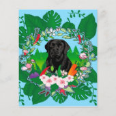 Adam Scott – 優れたプレイヤー チラシ (裏面)