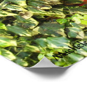 Adareウィンドウつる植物プリント ポスター (角)