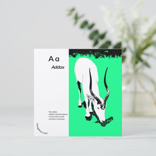 Adax/Oryx to Miriam Kilmer,再生品 (スタンド正面)