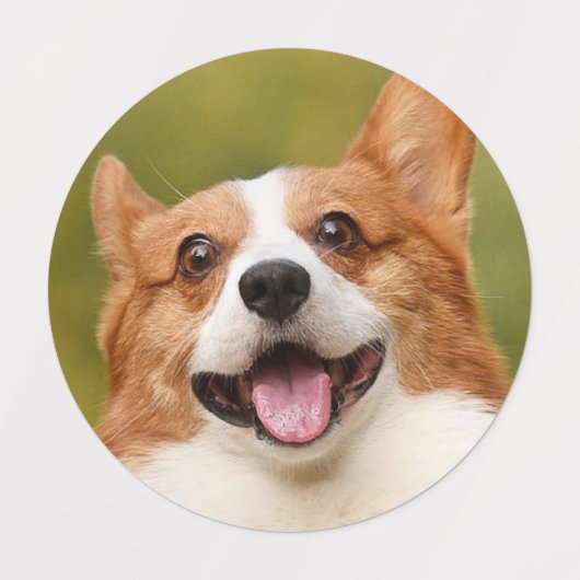 Add Dog Photo Personalized Customized ラベル (デザイン2)