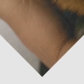 Add German Shepherd Photo Personalize 薄葉紙 (詳細)