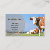 Add Photo Cow QR Code Business Cards 名刺 (正面)