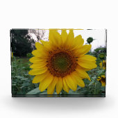 Add Sunshine with This Bold Sunflower Photo Block フォトブロック (正面)