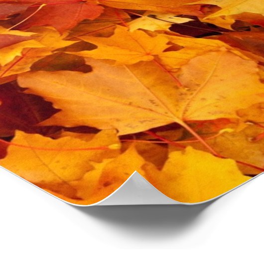 Add Your Own Custom Text Or Motivational Quote ポスター (角)