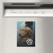 Add Your Own Photo Dog Pets Monogram マグネット (インサイチュ (食洗機))