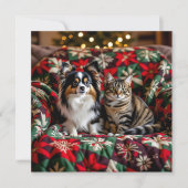 Add Your Photo to this Christmas シーズンカード (正面)