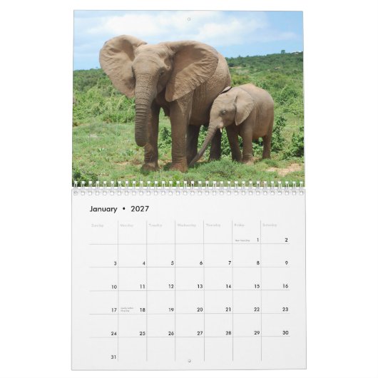 Addoのカレンダーのアフリカゾウ カレンダー (1月 2027)