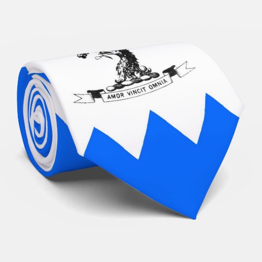 Adeney家族のSparrowhawkの頂上のタイ ネクタイ (ロール)