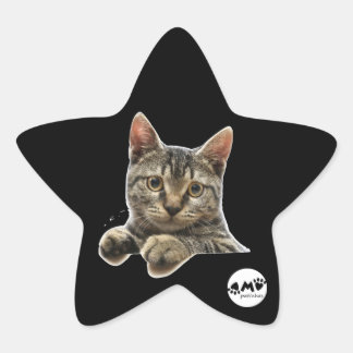 Adesivo 星シール