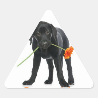 adesivo cão/flor 三角形シール