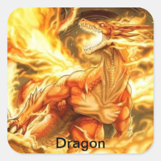 adesivo de dragão スクエアシール
