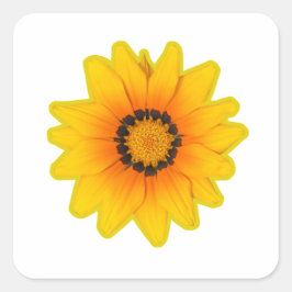Adesivo flor Amarela Gazânia スクエアシール