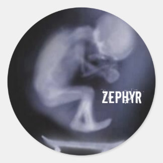 adesivo Zephyr Skate ラウンドシール