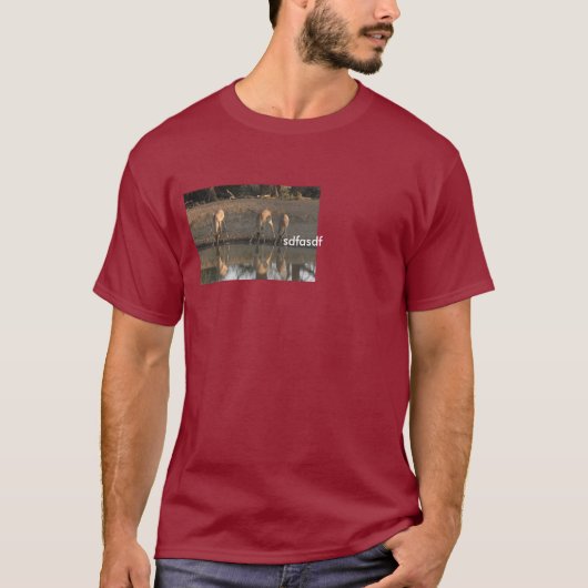 adf tシャツ (正面)