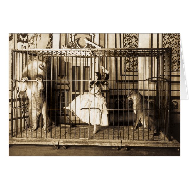 Adgieおよび彼女はLions1897を訓練しました (正面横)