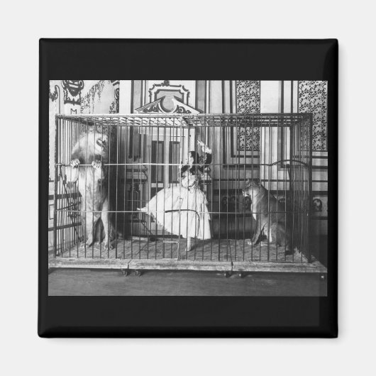 Adgieと彼女の訓練されたライオンズ1897 マグネット (正面)