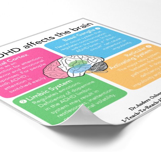 ADHD脳* ポスター (角)