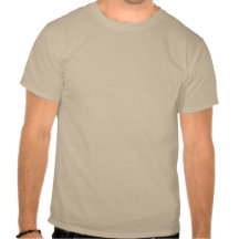 AdirondackハイピークスTシャツ(ブラウンロゴ)