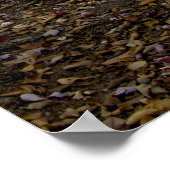 Adirondackパス ポスター (角)