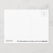 Adirondackポストカード ポストカード (裏面)