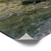 Adirondack樺の木 ポスター (角)