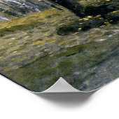 Adirondack樺の木 ポスター (角)