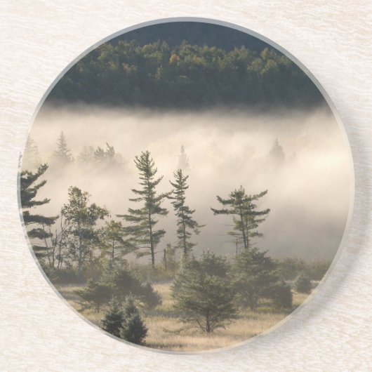 Adirondacksの朝の霧 コースター (正面)