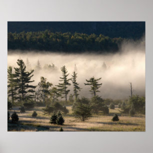Adirondacksの朝の霧 ポスター