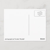 Adirondacksポストカード#001 ポストカード (裏面)