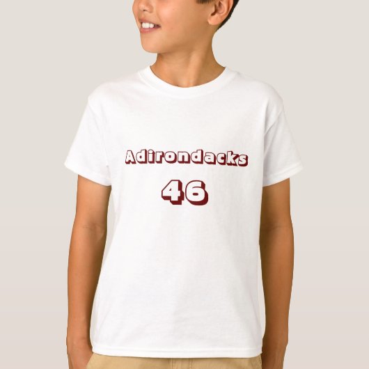 Adirondacks 46キッズリンガーTシャツ Tシャツ (正面)
