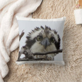 Adirondacks (NY)のミサゴの写真の装飾用クッション クッション (ブランケット)