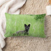 Adirondacks (NY)の銀製キツネのLumbarの枕 ランバークッション (ブランケット)