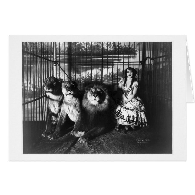 Adjieおよびライオン1899年 (正面横)