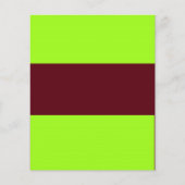 ADJUSTABLE chartreuse & Brown Flyer チラシ (正面)
