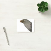 Adler ポストイット (オフィス)