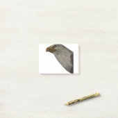 Adler ポストイット (デスク上)