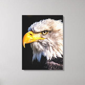 Adler Eagle Canvas Print キャンバスプリント