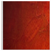 Adobe Shadowsポータブル写真背景 ファブリック (見本)