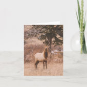 Adolescence - 4" x 5.6" Notecard シーズンカード (正面)