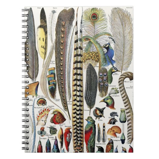 Adolphe Millot Dark Academia Vintage Bird Feather ノートブック (正面)