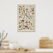 Adolphe Millot Mushroom Chart Print Vintage ポスター (キッチン)