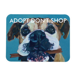 ADOPT磁石車の買物をしません マグネット