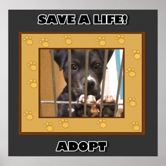 Adopt a puppy poster ポスター (正面)