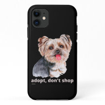 ADOPT, DON SHOP (Yorkshire Terrier)かわいい犬