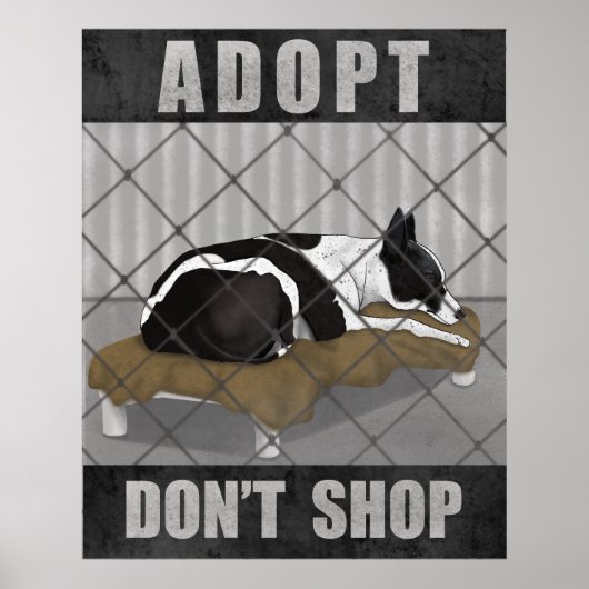 Adopt Don’t Shop ポスター (正面)